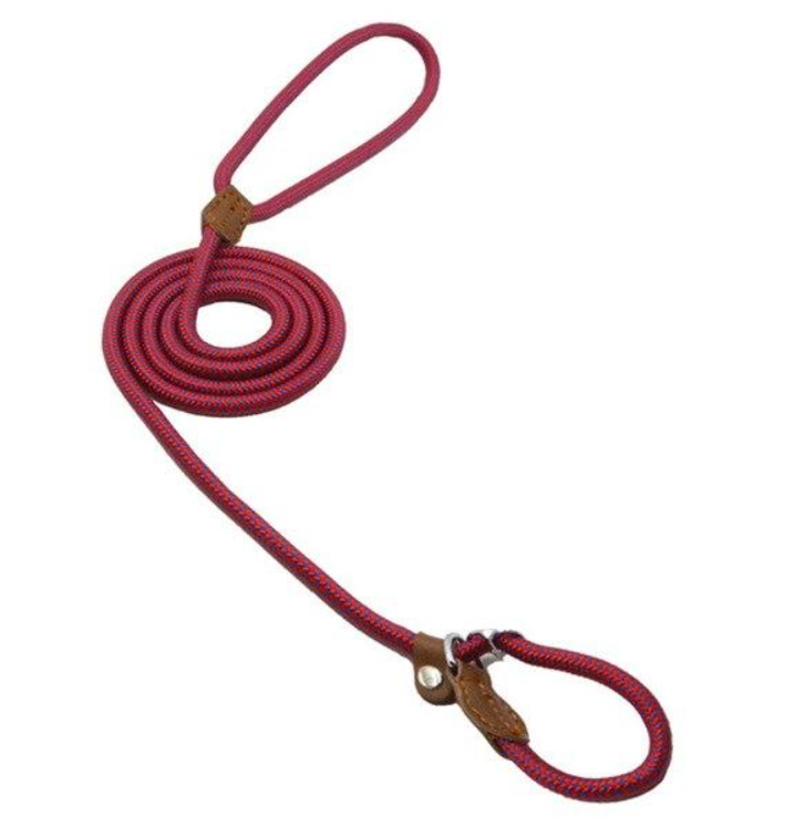 Nylon Dog Leash