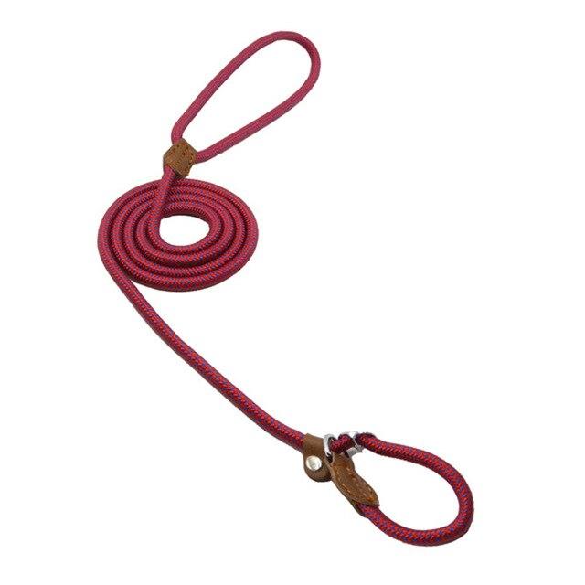 Nylon Dog Leash
