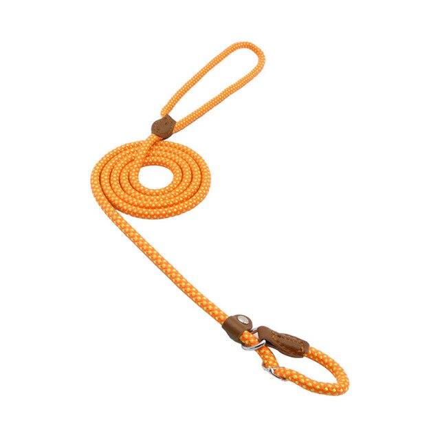 Nylon Dog Leash