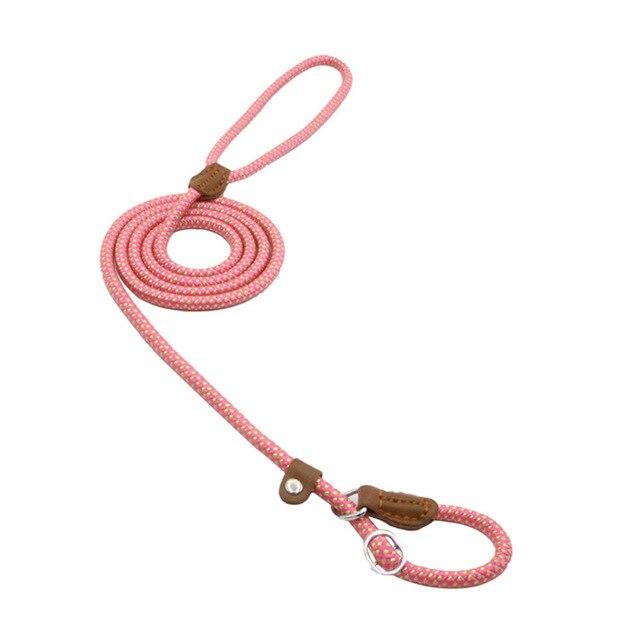 Nylon Dog Leash