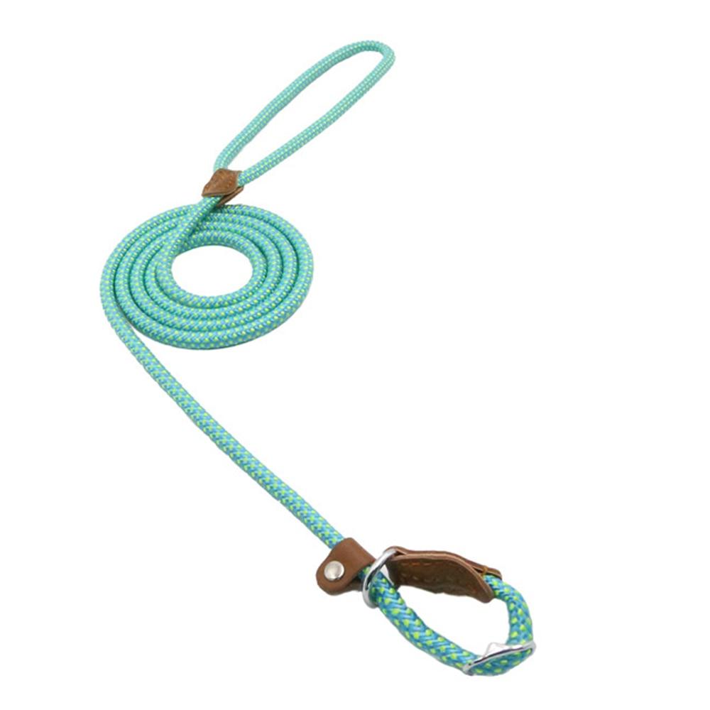 Nylon Dog Leash